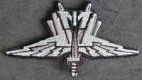 Starship Troopers Winged Sword  cap patch (small)