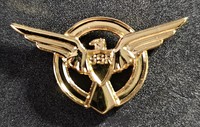 Captain America;  SSR Logo Pin