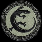 Enders Game; Salamander patch