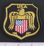 USA Eagle Patch 