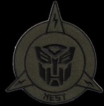 Transformers NEST Uniform Patch